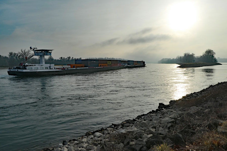 Am Rhein bei Lauterbourg